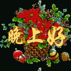 晚安的问候文字，晚安的问候表情