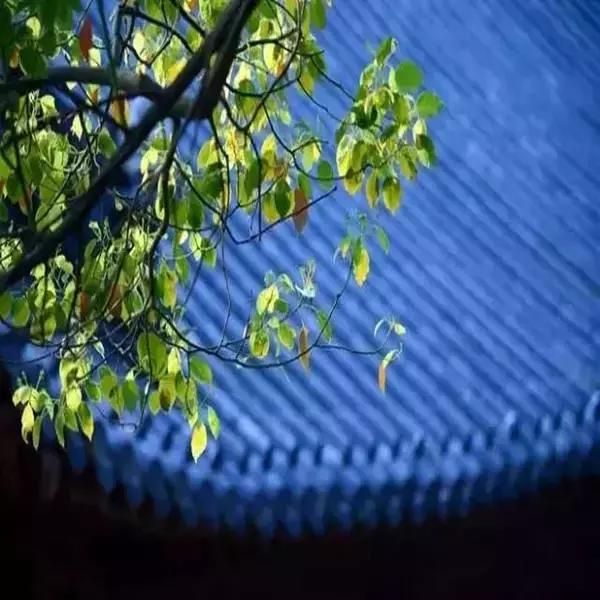 父母尚在人生且有归途珍惜当下，孩子是父母后半生唯一的观众