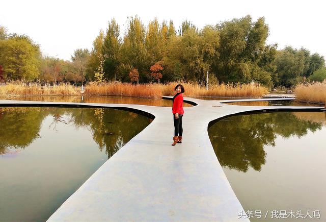 沈阳长白岛湿地公园，一叶知秋沈阳长白岛森林公园