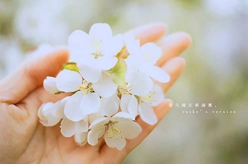 晚安唯美句子图片：有生之年，只诉温暖不言殇