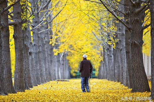 时间是把杀猪刀黑了，岁月是把杀猪刀（岁月是把杀猪刀歌曲）