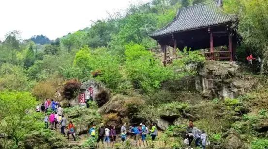 成都春季徒步一日游，徒步、骑行...浪漫一日游