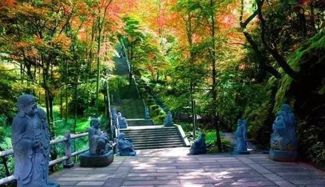 成都春季徒步一日游，徒步、骑行...浪漫一日游