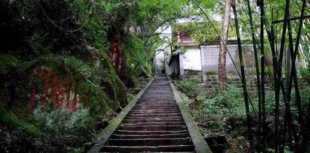 成都春季徒步一日游，徒步、骑行...浪漫一日游