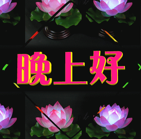 问候晚上好的短句子，晚上好的表情图片