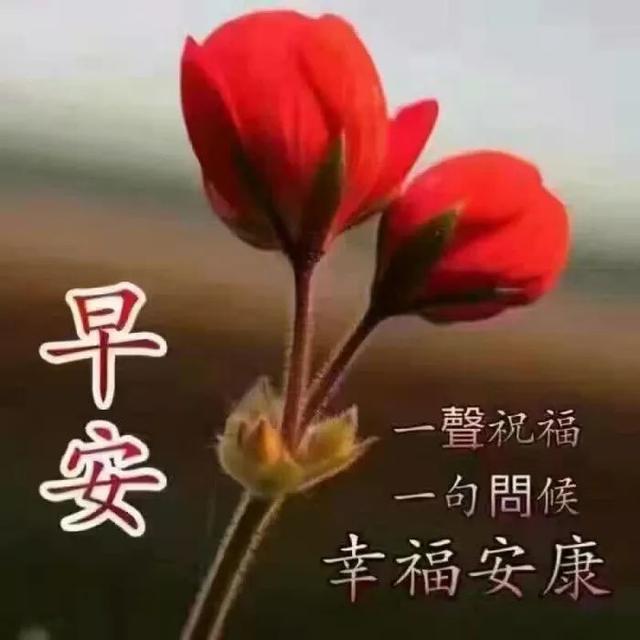 早上好的温馨祝福送给你