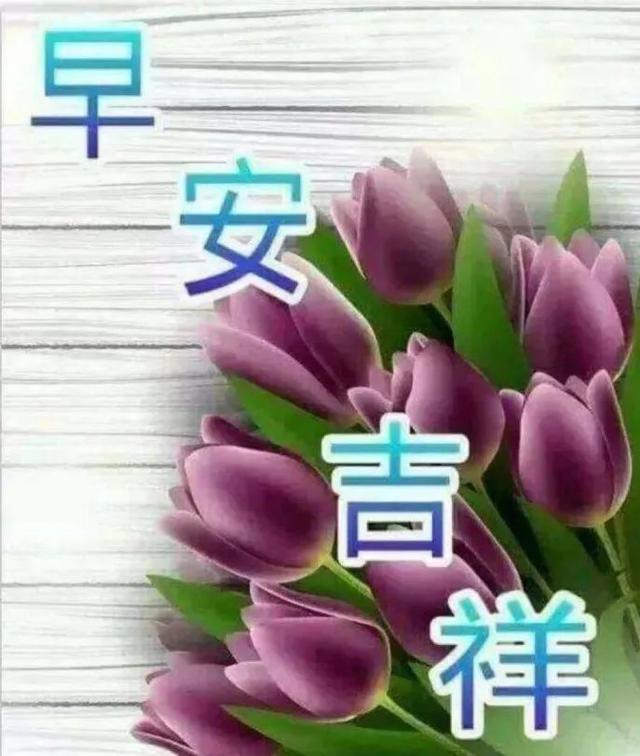 早上好的温馨祝福送给你