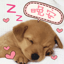 祝福朋友晚安的好文字和表情图片