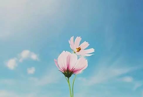 晚安句子171028：孤独是一种情调，比承诺更可靠