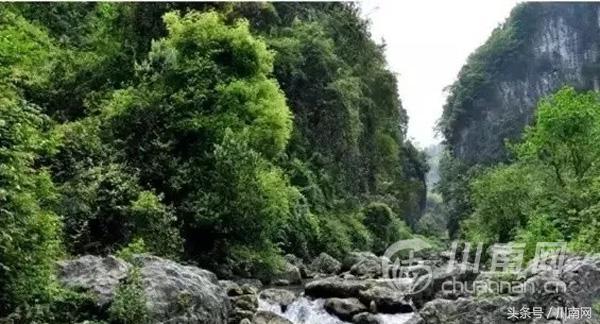 泸州市最好的旅游景点，泸州境内最惊艳的小众美地推荐