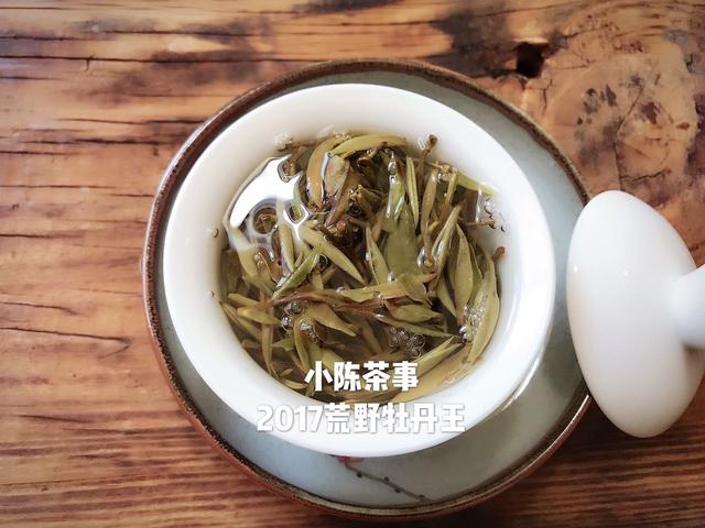 白茶的正确冲泡方法和技巧，白茶怎么泡才正确方法。好茶还需泡法全