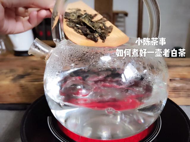 白茶的正确冲泡方法和技巧，白茶怎么泡才正确方法。好茶还需泡法全