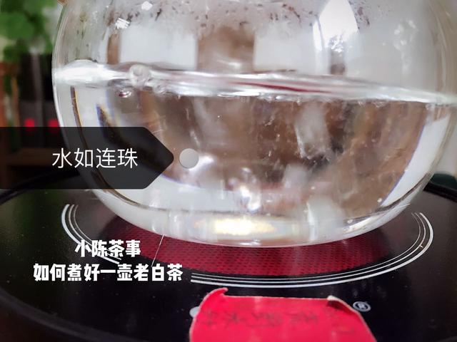 白茶的正确冲泡方法和技巧，白茶怎么泡才正确方法。好茶还需泡法全