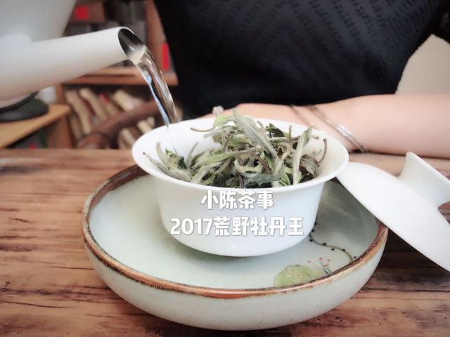 白茶的正确冲泡方法和技巧，白茶怎么泡才正确方法。好茶还需泡法全
