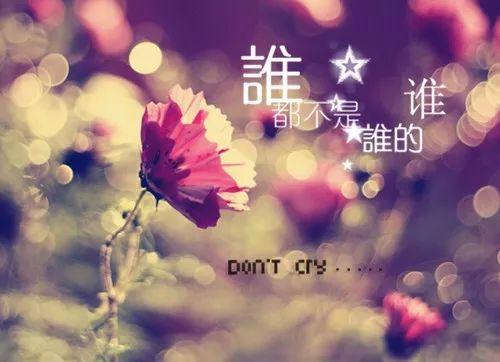午安句子171101：一个人使劲，维持不了两个人的感情