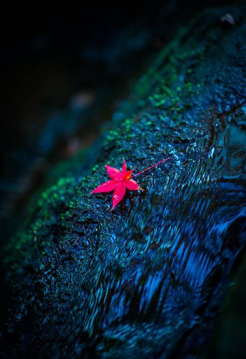 晚安美文171101：心若平常，何处不安详