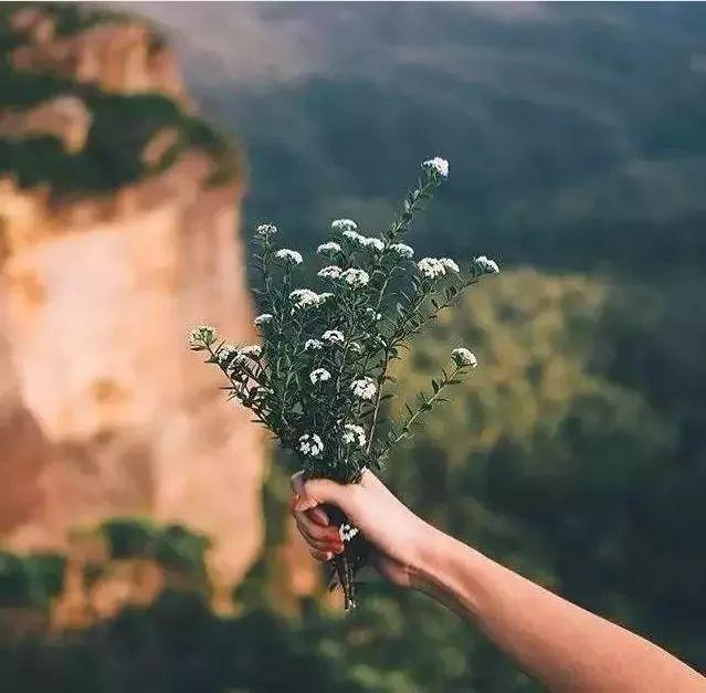 晚安美图171101：人啊，请不要...