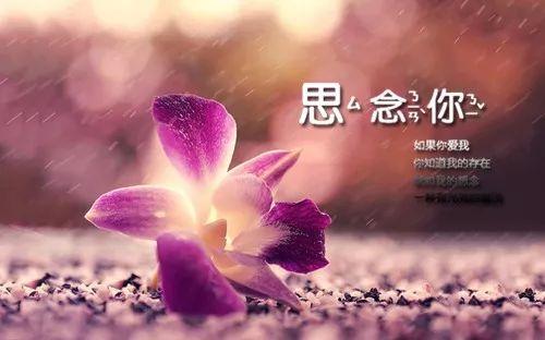 午安句子171101：一个人使劲，维持不了两个人的感情