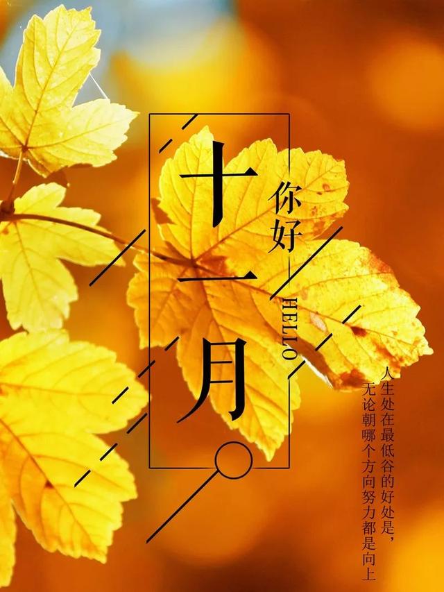 11月早安心语正能量：只有前行，没有退却