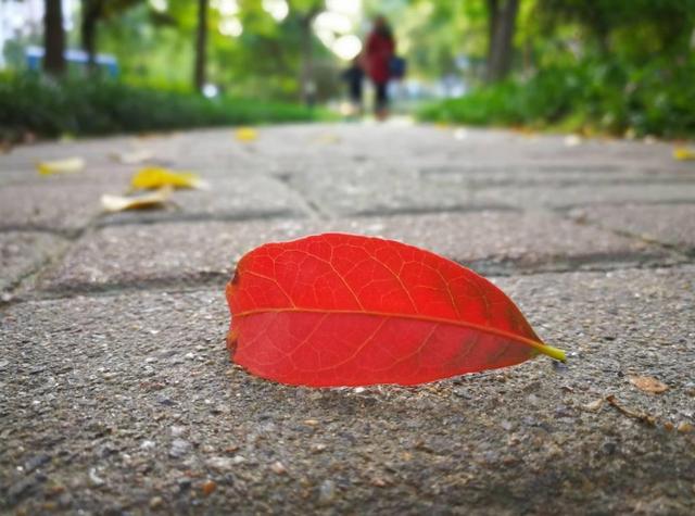 早安11月：十月，再见！十一月，你好！