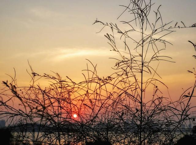 早安11月：十月，再见！十一月，你好！