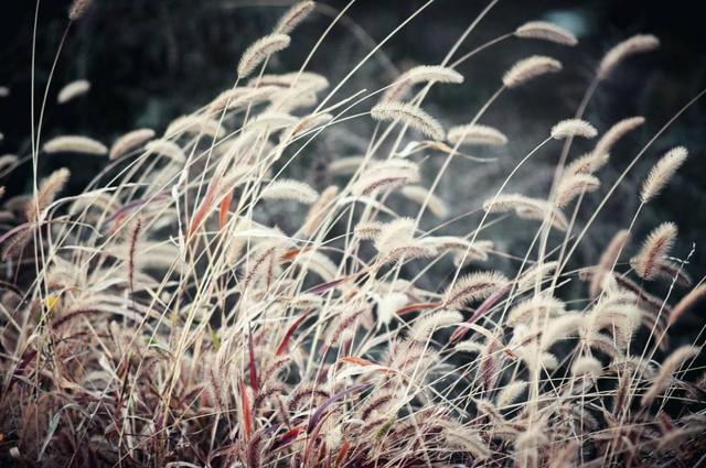 早安11月：十月，再见！十一月，你好！