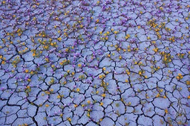 早安美图171103：经历一段努力闭嘴不抱怨的时光，才能熠熠生辉