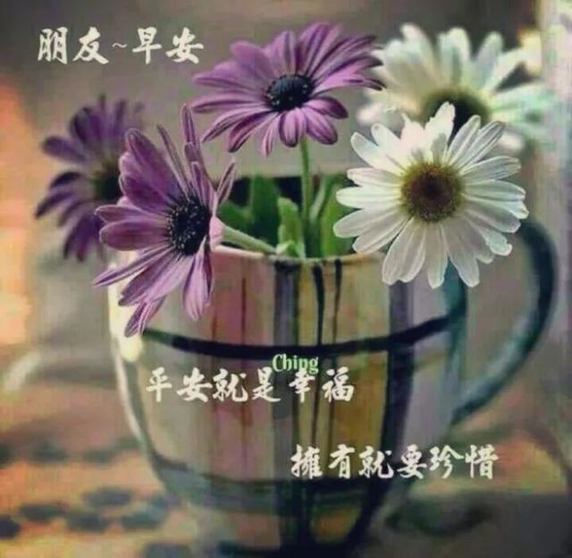 清晨早上好，送上清晨的问候