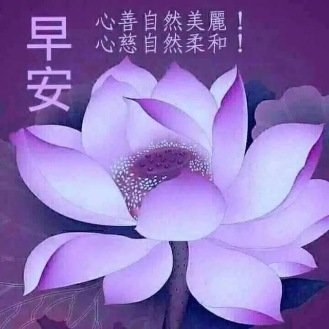 清晨早上好，送上清晨的问候