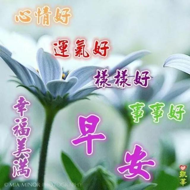 清晨早上好，送上清晨的问候