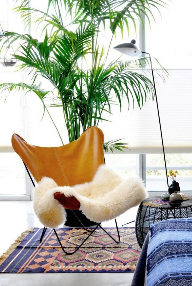 早安美图171106：去哪里都好，只要全力以赴