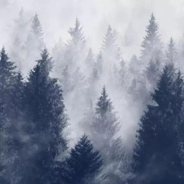 晚安美图171107：愿你的城市，有人是你的归途