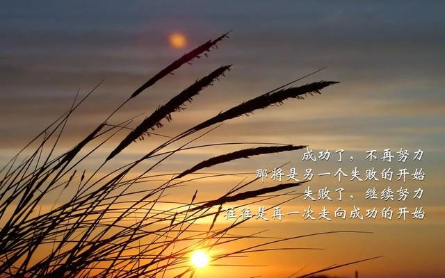 早安心语正能量171221：事业前途未卜，努力还需无数