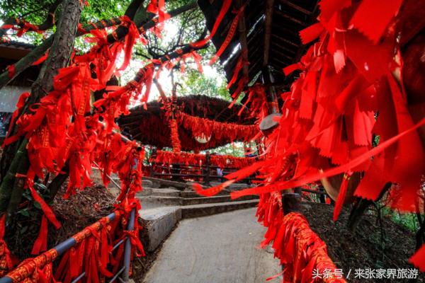 重庆到张家界自由行攻略路线，重庆自驾张家界五日游行程