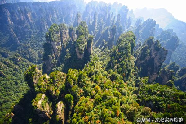 重庆到张家界自由行攻略路线，重庆自驾张家界五日游行程