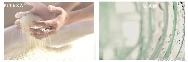 sk2神仙水包括什么，全面分析SK-II神仙水