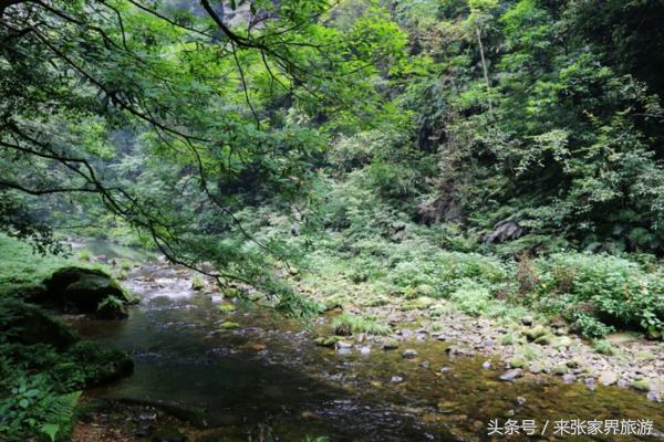 重庆到张家界自由行攻略路线，重庆自驾张家界五日游行程