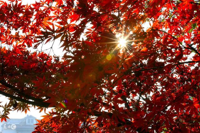 西安长安通小卡怎么收费，作为西安人你知道吗