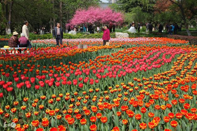 西安长安通小卡怎么收费，作为西安人你知道吗