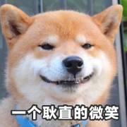 御书屋自由的小说阅读网