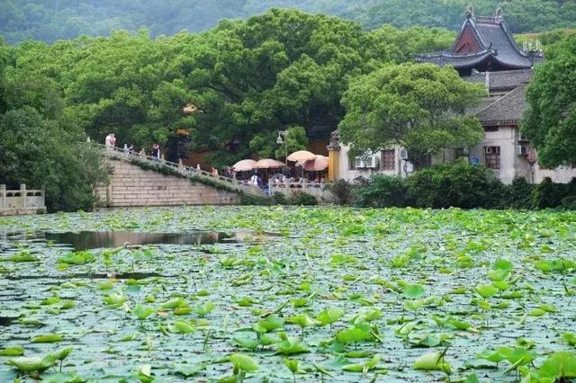 去普陀山的最佳路线，普陀山自由行攻略最佳路线图（普陀山旅游攻略）