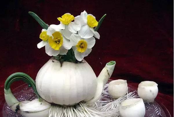 冬天怎样养好水仙花，水仙花冬季这样做