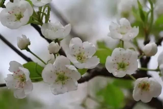 现在天津踏青十大好去处，几个小众露营地，“野”到不行