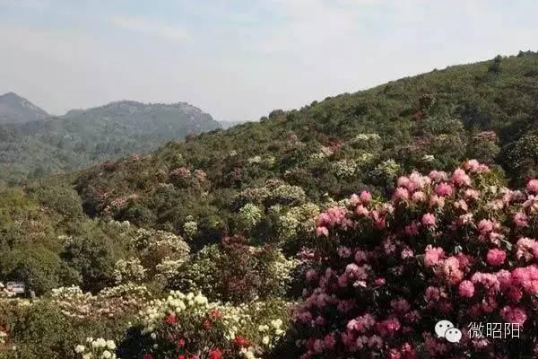 云南昭通十大好玩景点，云南最值得去的景点