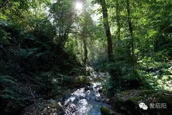 云南昭通十大好玩景点，云南最值得去的景点