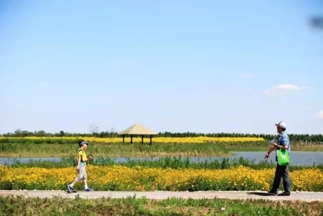 现在天津踏青十大好去处，几个小众露营地，“野”到不行