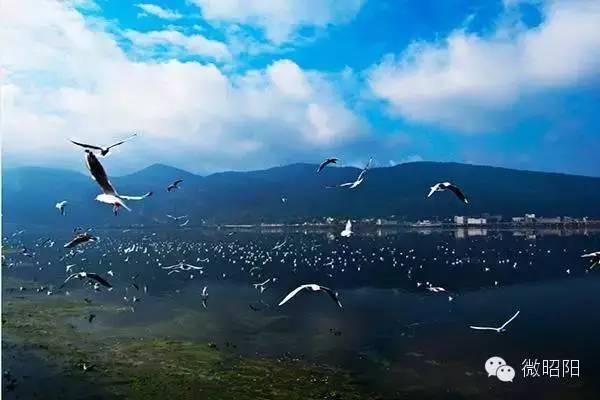 云南昭通十大好玩景点，云南最值得去的景点