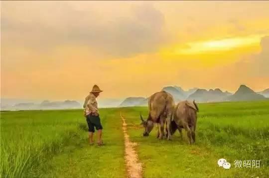 云南昭通十大好玩景点，云南最值得去的景点