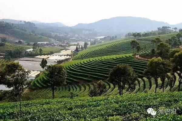 云南昭通十大好玩景点，云南最值得去的景点