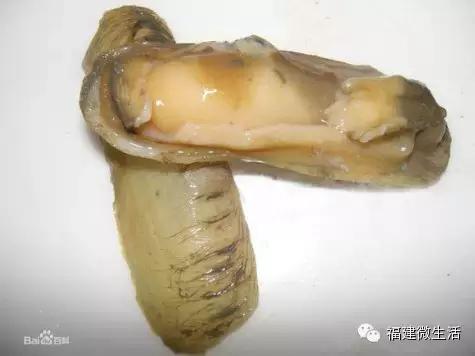 分享12种海鲜的做法，年夜饭海鲜别再水煮